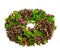 Spring wreath with leaves and berrys