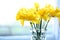 Spring yellow flowers daffodils sunny romantic present