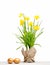 Spring yellow narcissus, golden easter egg isolated on white