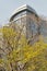 Spring yellow tree and hotel Hilton in Kiev, Ukraine.