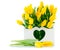 Spring yellow tulips in wooden basket