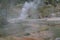 Spring in Yellowstone: Blood Geyser Vents Steam at the Foot of Paintpot Hill in Artists` Paintpots in the Gibbon Geyser Basin