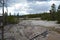 Spring in Yellowstone: Looking Downstream Tantalus Creek Toward Cistern Spring Steam Plume in Back Basin of Norris Geyser Basin