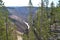 Spring in Yellowstone: Morning Sun Fills the Grand Canyon of the Yellowstone River As We Look Downriver From the North Rim Trail