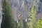 Spring in Yellowstone: Osprey Nest on Rock Outcrop Near Lookout Point on the North Rim Of the Grand Canyon of the Yellowstone Rive