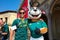Springbok Rugby fans at outdoor spectator sports event in South Africa
