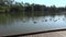 Springfield lakes in Ipswich City, Queensland, Australia