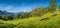 Springlike alpine mountain landscape with flowers and blooming fruit trees