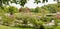 Springlike park landscape panorama with blooming apple trees, Westpark Munich, view through chestnut branches