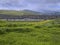 Springs green grass with freeway in far background