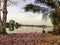 Springs By Lake In Malaysia