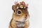 Springtime adorable baby chipmunk wearing a flower crown. Cute children\\\'s illustration of cuddly animal in spring. Easter