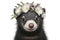 Springtime adorable baby skunk wearing a flower crown. Cute children\\\'s illustration of cuddly ferret in spring. Easter