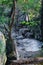 Springtime along the Great Falls Overlook Trail