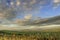 Springtime.Between Apulia and Basilicata: hilly landscape with green cornfields.ITALY.