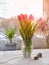 Springtime background with bunch of pink tulips on a table with linen table cloth. Window with view over Berlin a sunset
