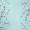 Springtime background with cherry blossom twigs on blue desktop, top view, frame