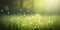 Springtime Bliss: A Nature Background with Bokeh Effect for Invitations and Posters.