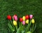 Springtime bouquet of colorful tulips on green grass