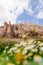 Springtime in Cappadocia, Turkey. Fairy Chimney Rock Formations with flowers