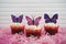 Springtime chocolate flavour delicious cupcakes topped with decorations of pink purple butterfly shapes