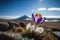 springtime, with crocus blooming in the foreground and blue sky visible beyond