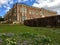 Springtime daffodils growing at Temple Newsam, Leeds