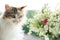 Springtime, domestic fluffy cat and bouquet of spring flowers on window