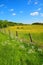 Springtime fields with horses