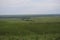 Springtime in the Flinthills of Kansas