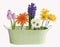 Springtime flowers in green container