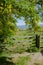 Springtime footpath to the Welsh coast.