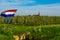 Springtime in fruit region Betuwe in Netherlands, Dutch flag, church and blossoming orchard with apple, pear, cherry and pear