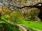 Springtime garden walkway