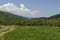 Springtime green forest, glade and valley among Lozen mountain, Plana mountain and snowy Vitosha mountain near to Pasarel village