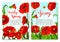 Springtime holidays poster with poppy flower