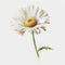 Springtime Joy: Eye-catching Daisy Watercolor for Your Designs AI Generated