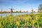 Springtime in Kinderdijk