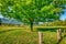 Springtime Landscape in Cades Cove Great Smoky Mountains