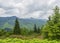 Springtime on MT. Mitchell NC with clearing rain clouds beautiful Horizontal Photo.