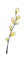 Springtime outlined hand drawn simpe childlike doodles willow branch