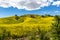 Springtime Panorama of Santa Monica Mountains showing a profusion of wild mustard.