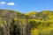 Springtime Panorama of Santa Monica Mountains showing a profusion of wild mustard.