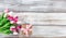 Springtime pink tulips and gift box on white rustic wooden board