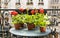 Springtime with red geraniums on a balcony in Paris, France