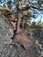 springtime Rockin VC trail Curt Gowdy State Park Cheyenne, Wyoming