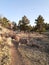 springtime Rockin VC trail Curt Gowdy State Park Cheyenne, Wyoming