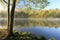 Springtime Shoreline of Foggy Mountain Lake at Dawn