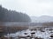 Springtime snowfall at flood meadow wetland