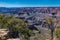 Springtime on the South Rim of Grand Canyon National Park